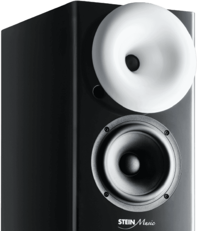 ZX9 speaker